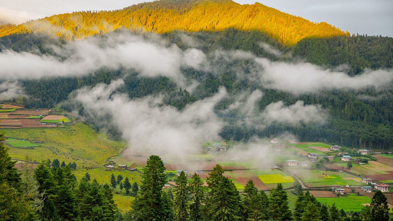 Forested valley, Bhutan